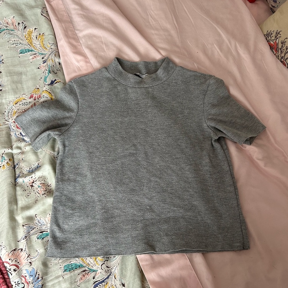 Zara Trafaluc crop top